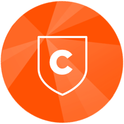 vitamin c icon